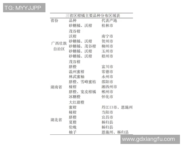 索肖与沙特鲁的激烈对决揭示法乙联赛新动态与球队未来潜力分析