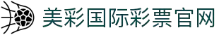 美彩国际(中国)有限公司